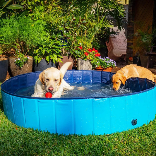 FurryPond™ Foldable Pet Swimming Pool